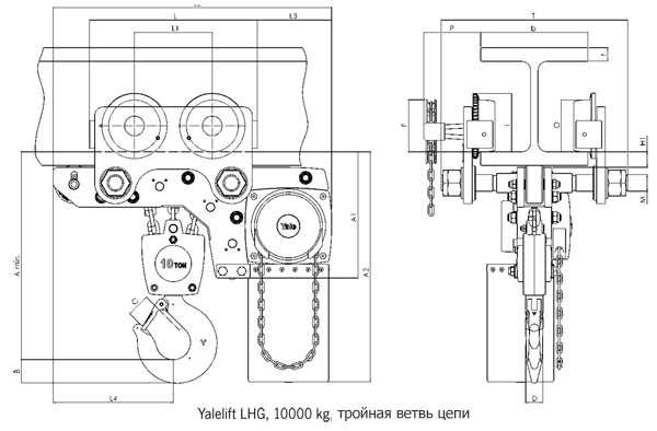 yalelift-lhg-dims-10000.jpg