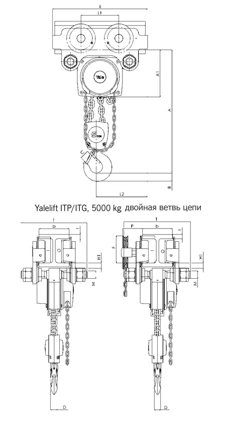 yalelift-itp-dims-5000.jpg
